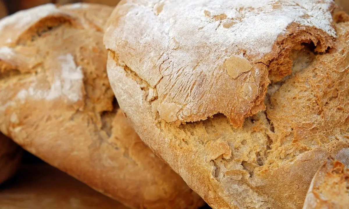 A Rogliano tutto pronto per la Festa del pane: tre giorni di degustazioni, talk e laboratori\n