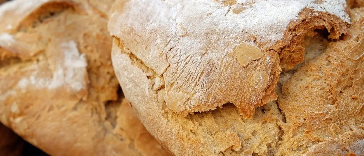 A Rogliano tutto pronto per la Festa del pane: tre giorni di degustazioni, talk e laboratori\n