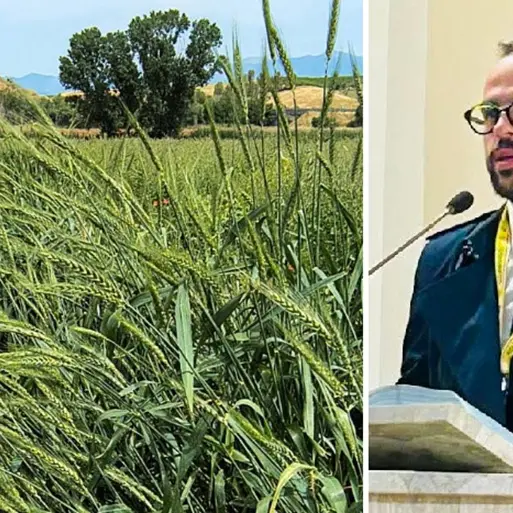 “No” al fotovoltaico sugli Scrisi, Porcelli (Coldiretti): «Risultato importante, ora non abbassare la guardia»\n