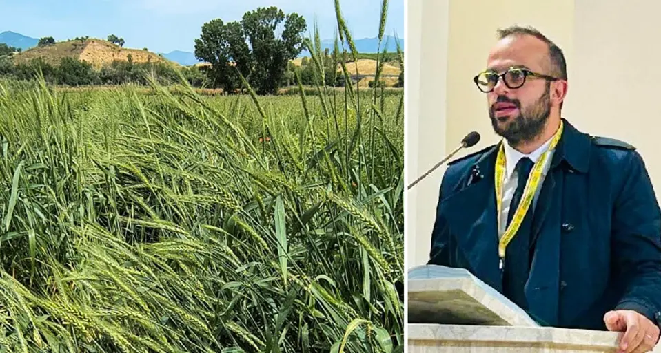 “No” al fotovoltaico sugli Scrisi, Porcelli (Coldiretti): «Risultato importante, ora non abbassare la guardia»\n