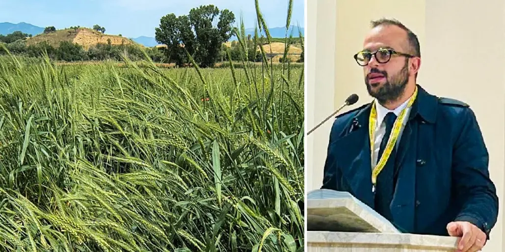 “No” al fotovoltaico sugli Scrisi, Porcelli (Coldiretti): «Risultato importante, ora non abbassare la guardia»\n