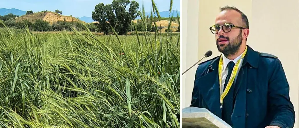 “No” al fotovoltaico sugli Scrisi, Porcelli (Coldiretti): «Risultato importante, ora non abbassare la guardia»\n
