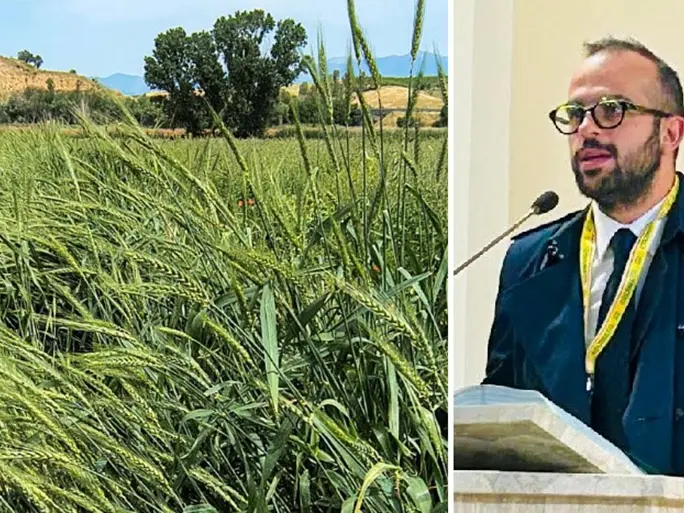 “No” al fotovoltaico sugli Scrisi, Porcelli (Coldiretti): «Risultato importante, ora non abbassare la guardia»