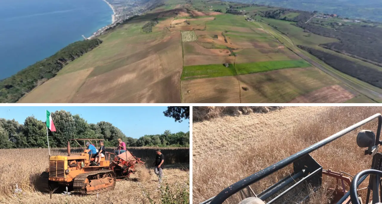 Stop al fotovoltaico nei campi di grano tra Pizzo e Maierato, coro di soddisfazione per l’archiviazione del progetto sulla Piana degli Scrisi\n