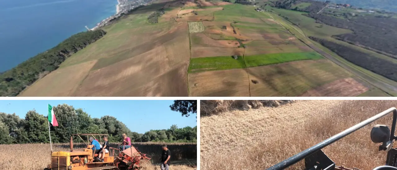 Stop al fotovoltaico nei campi di grano tra Pizzo e Maierato, coro di soddisfazione per l’archiviazione del progetto sulla Piana degli Scrisi\n