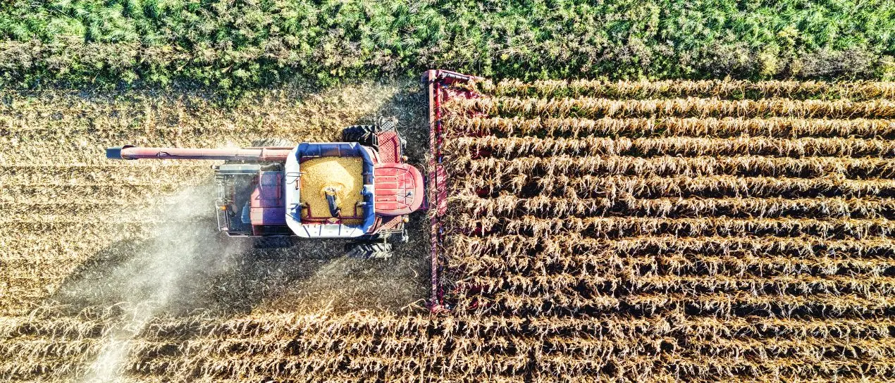 Calabria, 2 milioni di euro per l’innovazione in agricoltura: bando\u00A0 per imprese, università e ricerca\n