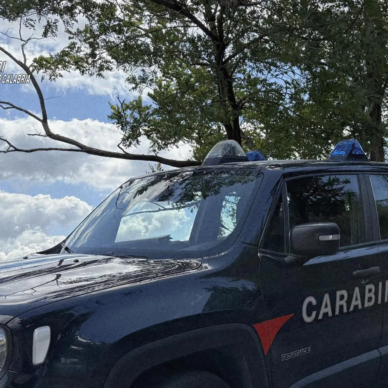Rissa a Bagnara, scatta il divieto d’accesso ai locali per cinque persone\n