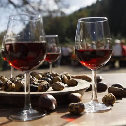 Castagne, funghi e vino: l’autunno entra nel vivo tra Cosenza, Rende e la Sila\n