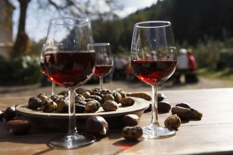 Castagne, funghi e vino: l’autunno entra nel vivo tra Cosenza, Rende e la Sila\n
