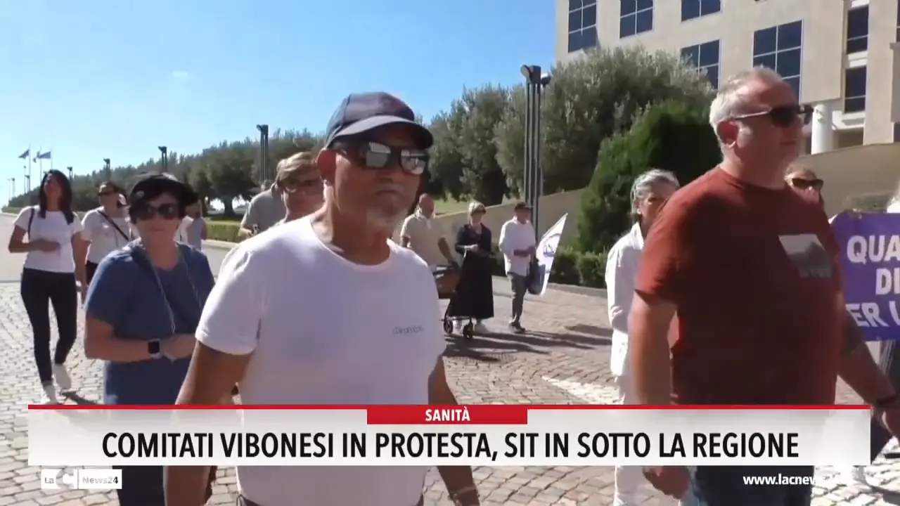 Comitati vibonesi in protesta: sit-in sotto la Regione