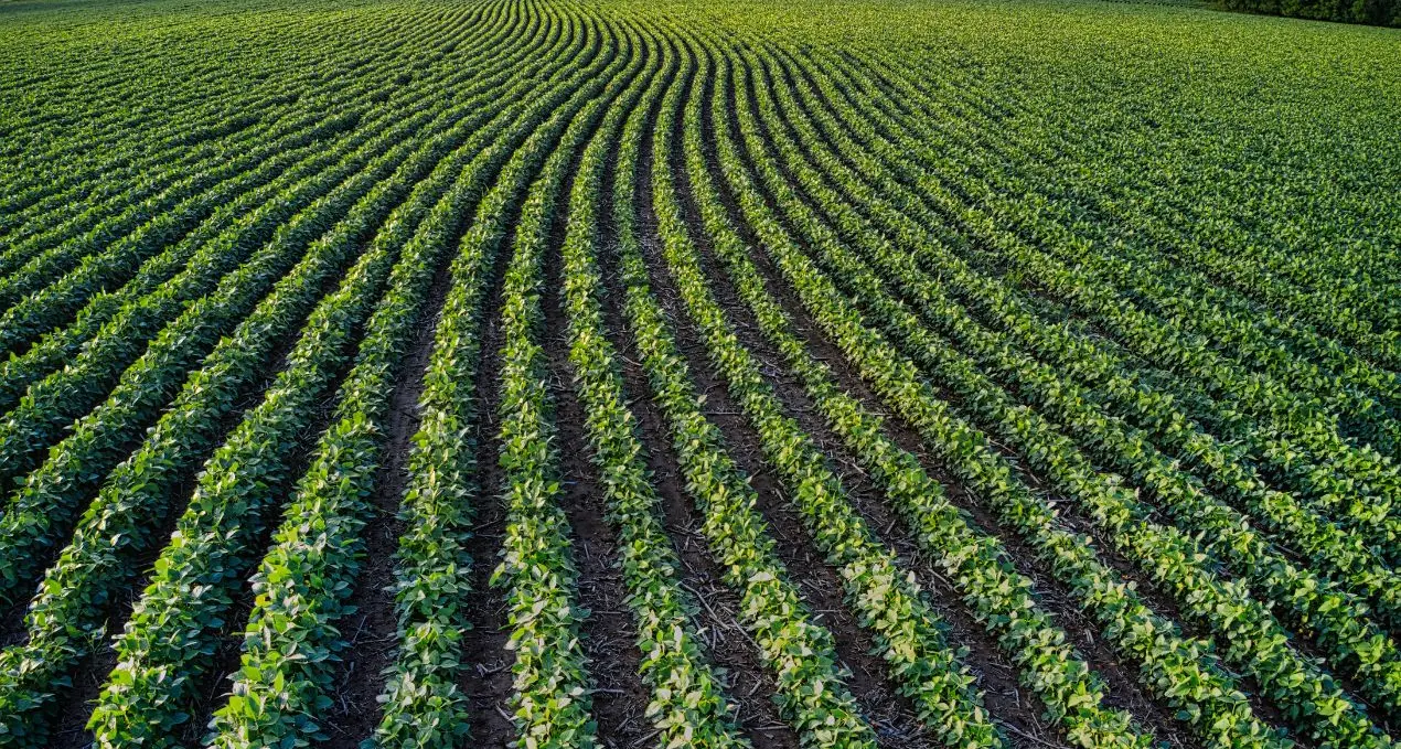 Agricoltura, Gallo: «42,5 milioni di euro alle imprese calabresi con pagamenti anticipati e tempi più veloci»\n