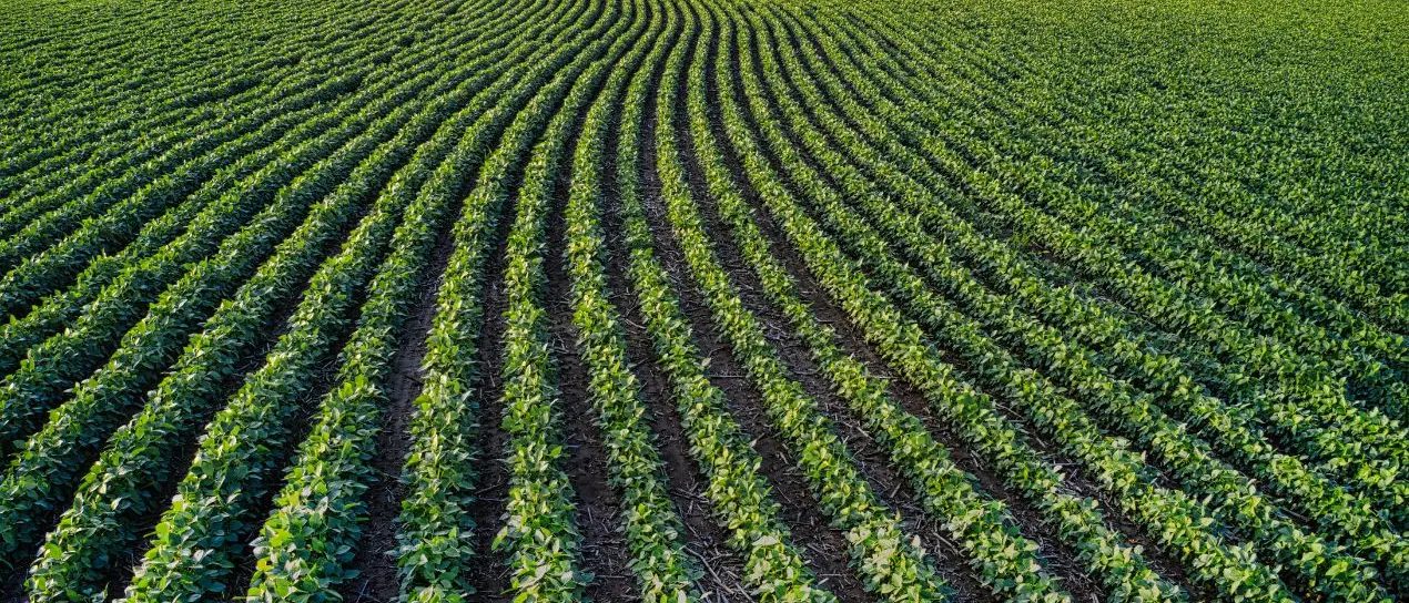Agricoltura, Gallo: «42,5 milioni di euro alle imprese calabresi con pagamenti anticipati e tempi più veloci»\n