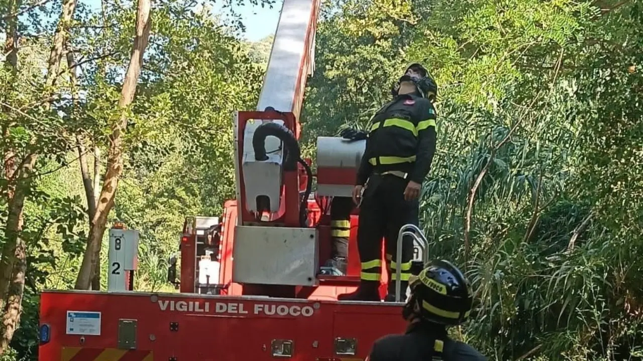 Decolla da monte Cocuzzo con il parapendio e rimane bloccato su un albero a Fiumefreddo Bruzio: salvato dai vigili del fuoco | VIDEO\n