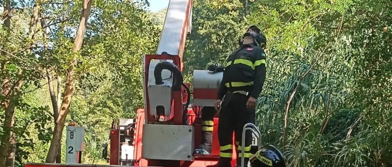 Decolla da monte Cocuzzo con il parapendio e rimane bloccato su un albero a Fiumefreddo Bruzio: salvato dai vigili del fuoco | VIDEO\n