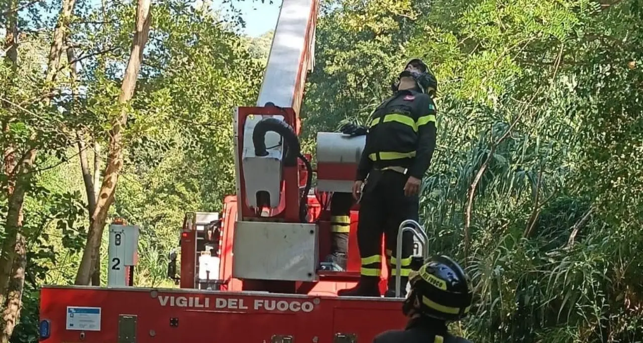 Fiumefreddo, parapendista rimane bloccato su un albero: il salvataggio dei vigili del fuoco