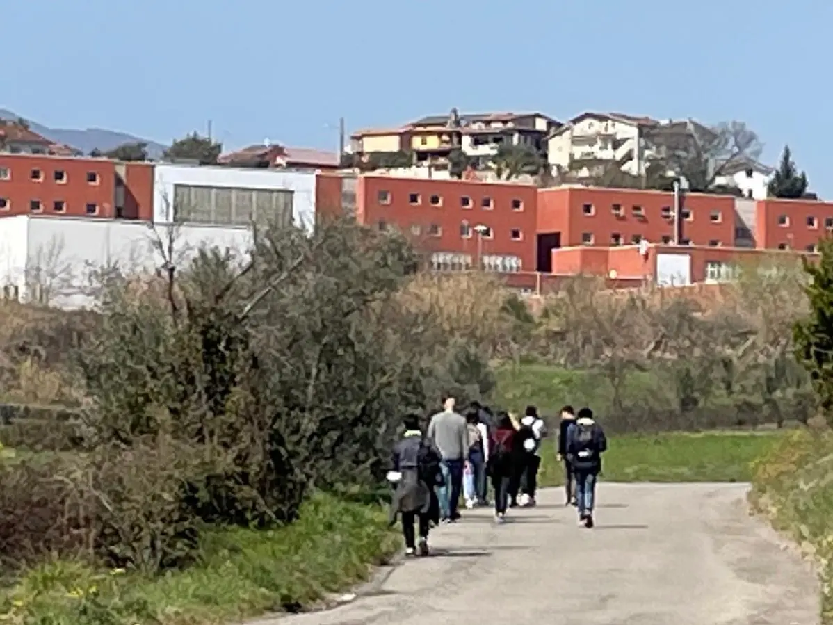 Affitti per gli studenti in zona Unical, Quattromiglia costa 100 euro al mese in più di Arcavacata: «Differenza decisiva»