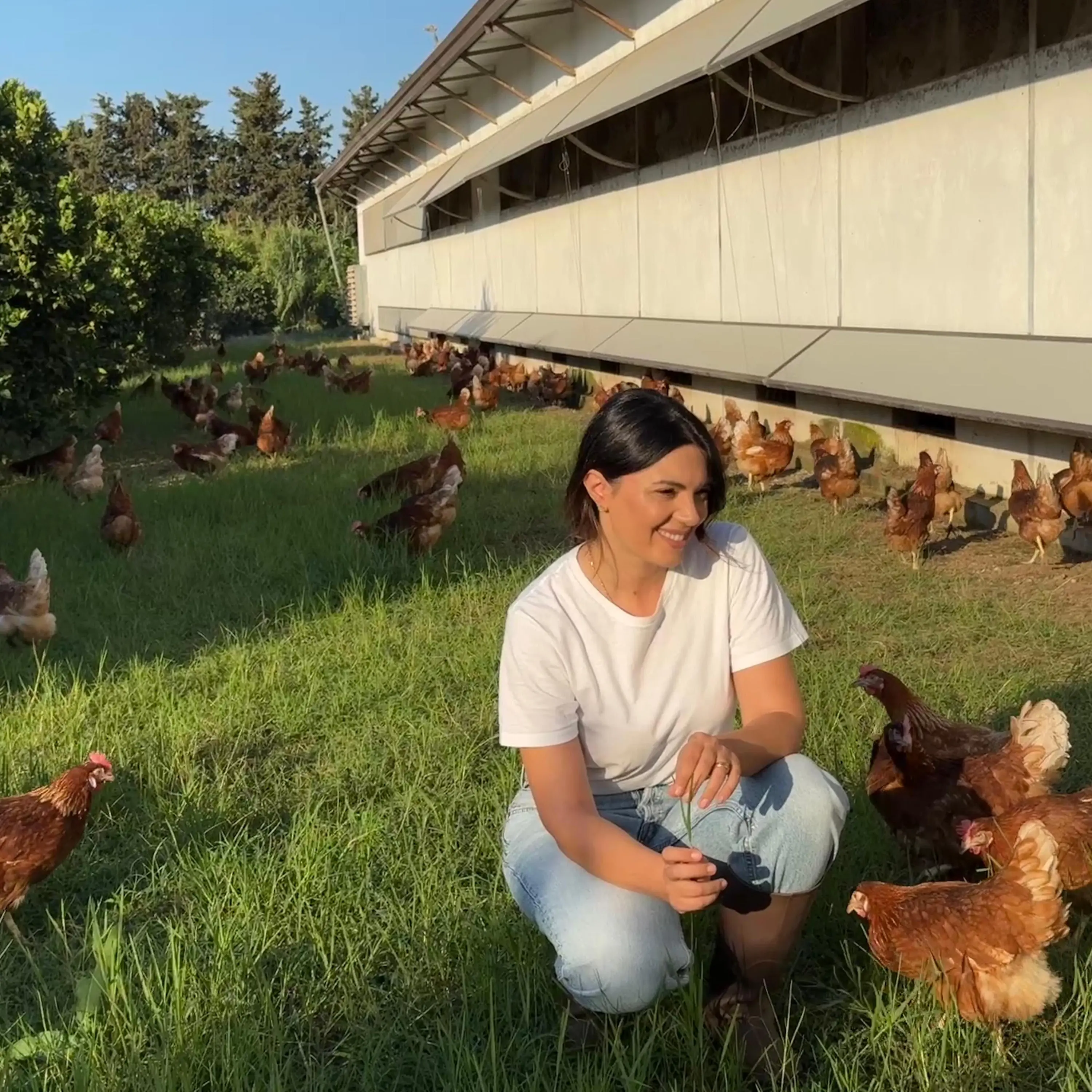 Uova biologiche, la sfida di fare agricoltura in Calabria. Antonella Gullà: «Si può ancora costruire il futuro»\n