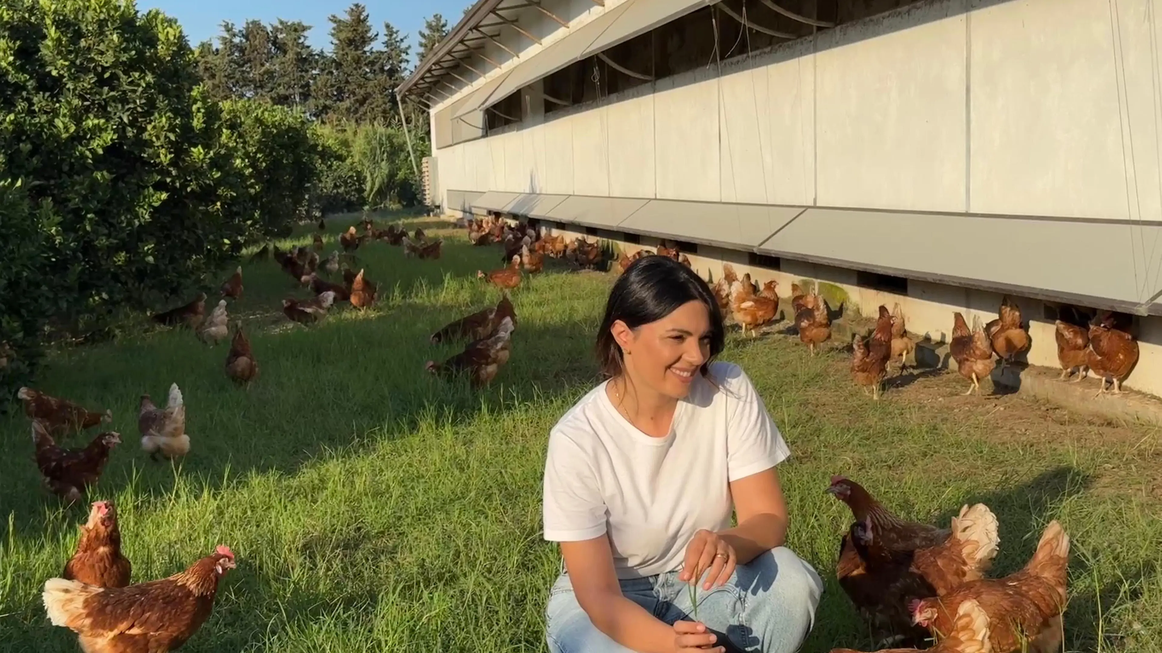Uova biologiche, la sfida di fare agricoltura in Calabria. Antonella Gullà: «Si può ancora costruire il futuro»\n