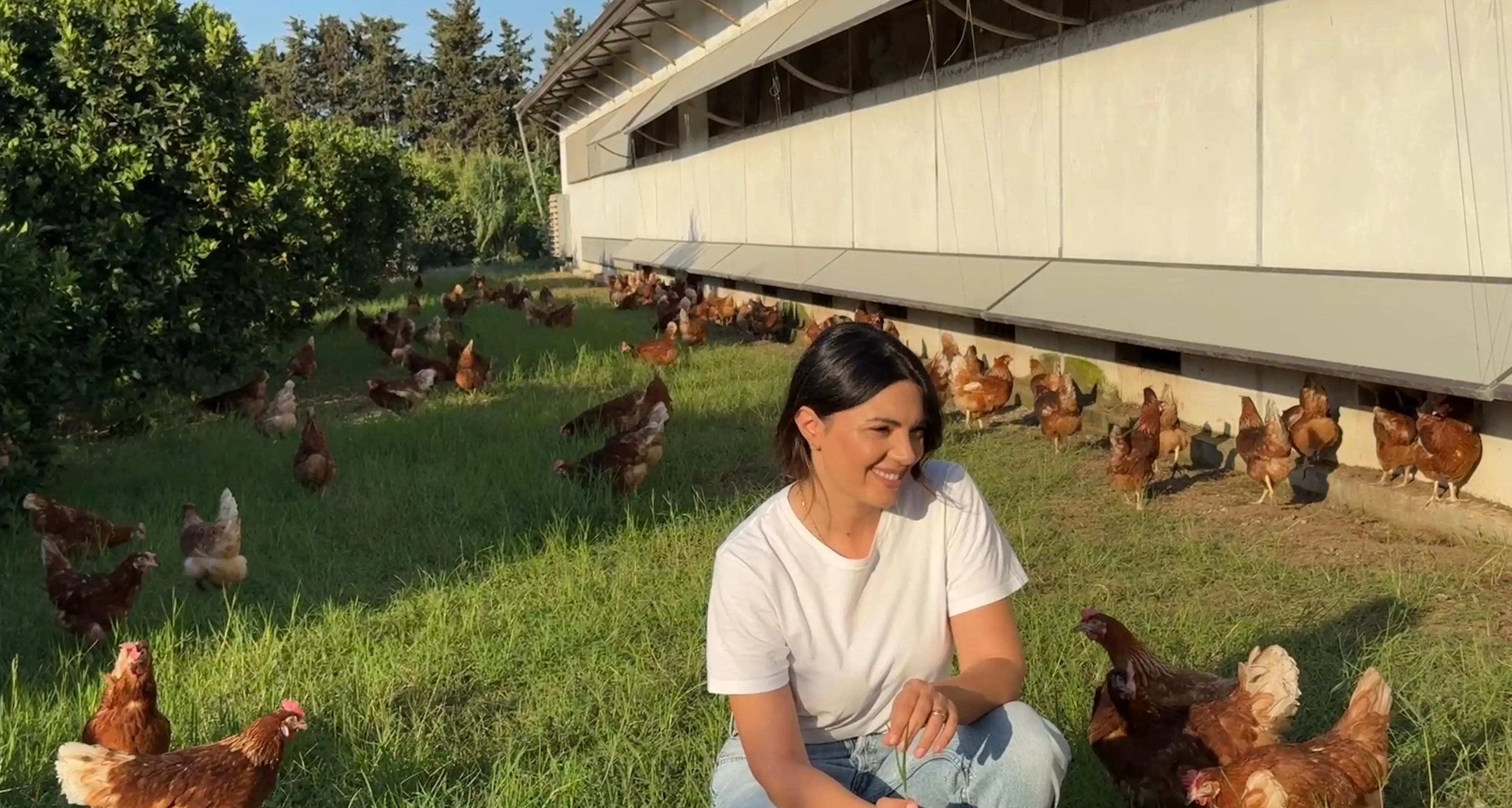 <p><span style=\"color:hsl(0, 75%, 60%);\">Uova biologiche</span>, la sfida di fare agricoltura in Calabria. Antonella Gullà: «Si può ancora costruire il futuro»</p>