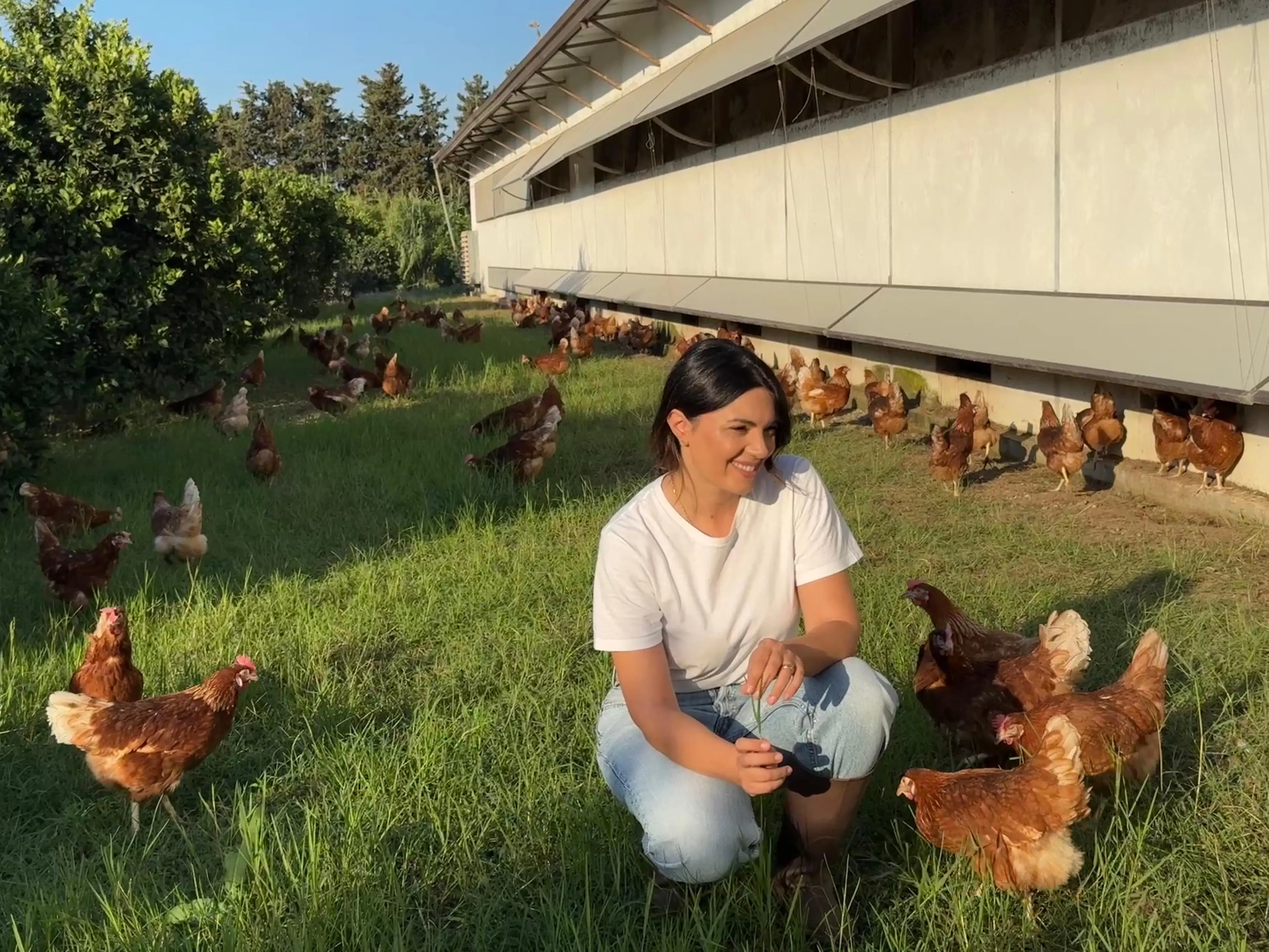 Uova biologiche, la sfida di fare agricoltura in Calabria. Antonella Gullà: «Si può ancora costruire il futuro»\n