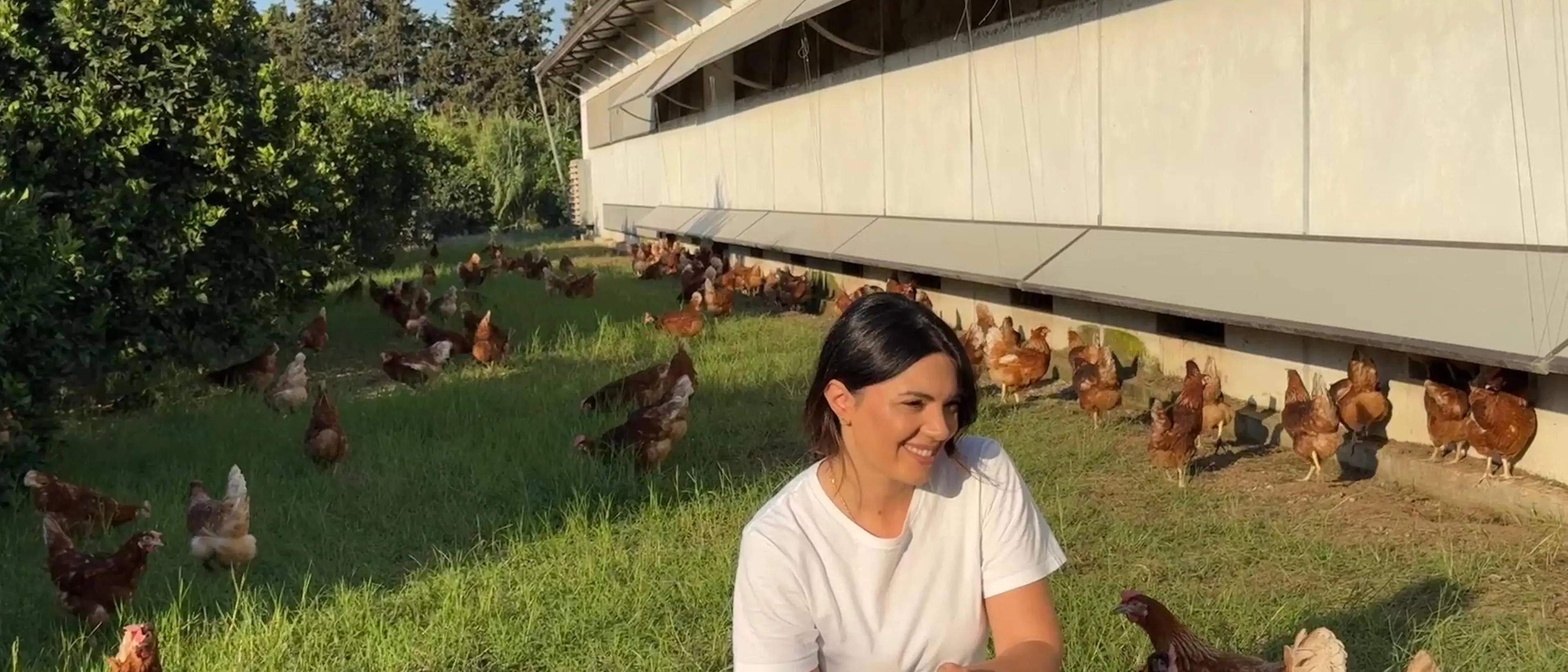 Uova biologiche, la sfida di fare agricoltura in Calabria. Antonella Gullà: «Si può ancora costruire il futuro»\n