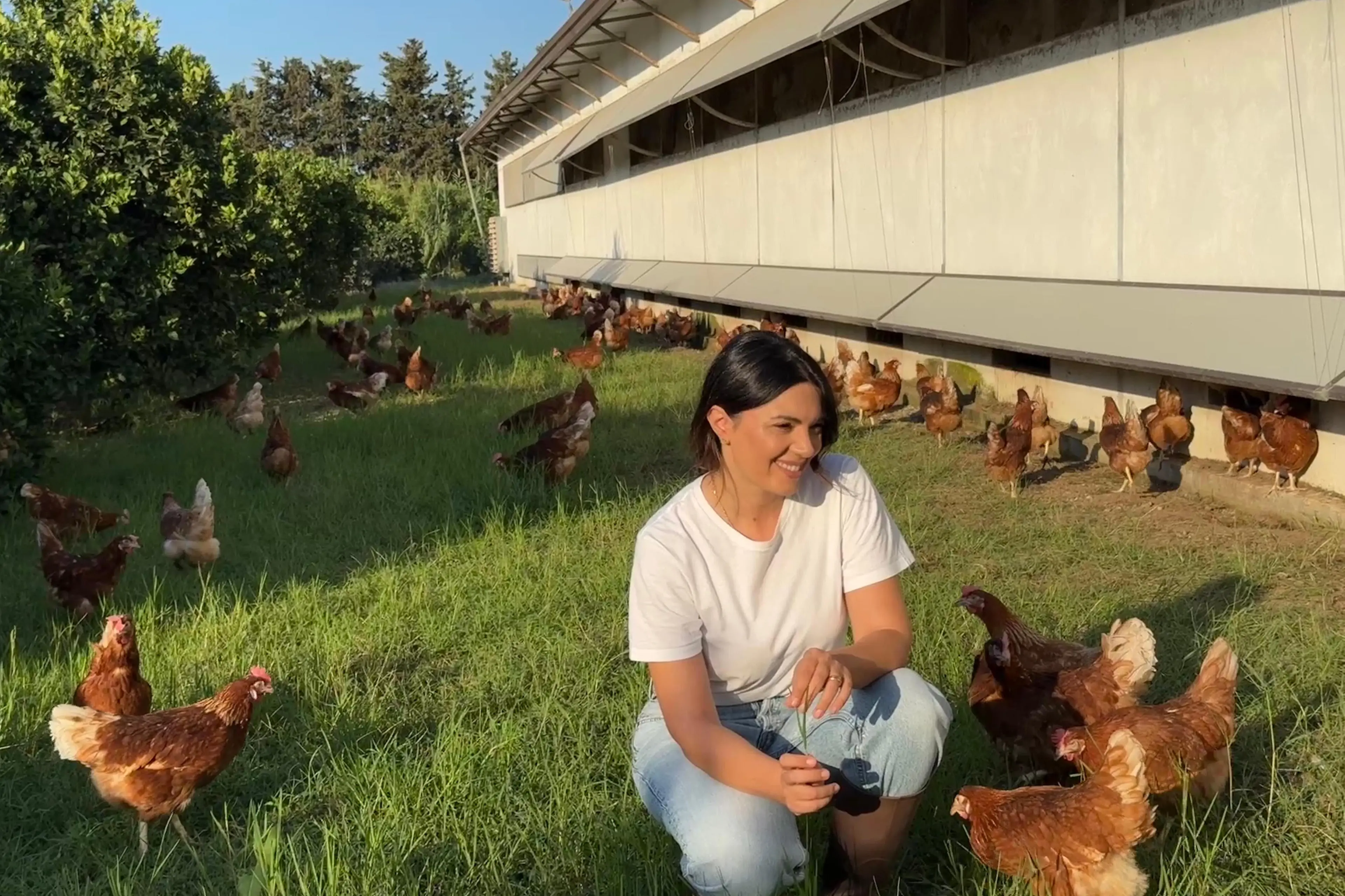 Uova biologiche, la sfida di fare agricoltura in Calabria. Antonella Gullà: «Si può ancora costruire il futuro»\n