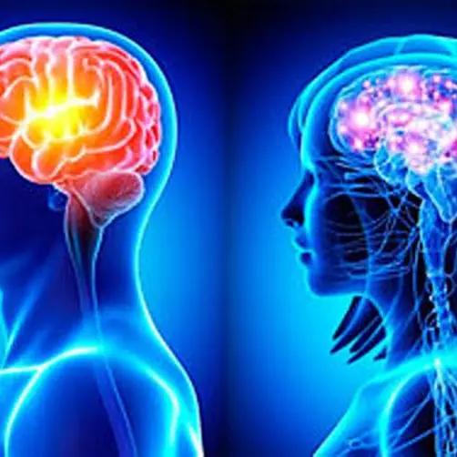 Neurologia, il vibonese Di Carlo tra i protagonisti delle nuove scoperte sul declino cognitivo\n