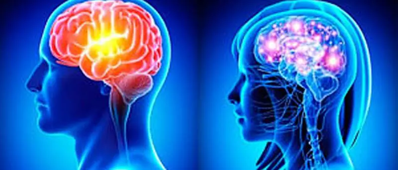 Neurologia, il vibonese Di Carlo tra i protagonisti delle nuove scoperte sul declino cognitivo\n