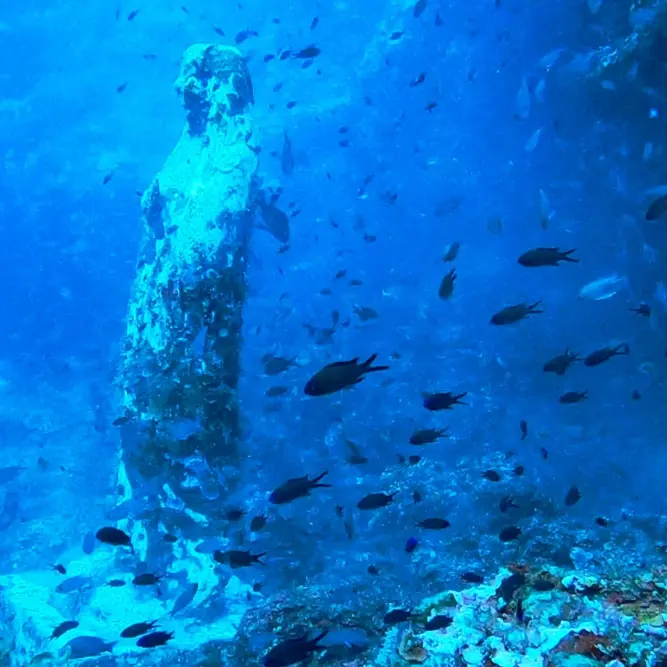 Parchi marini della Calabria, boom sui social: oltre 7.200 follower e un’estate da quasi un milione di visualizzazioni\n