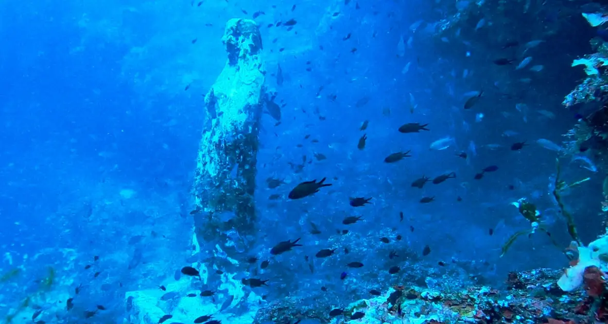 Parchi marini della Calabria, boom sui social: oltre 7.200 follower e un’estate da quasi un milione di visualizzazioni\n
