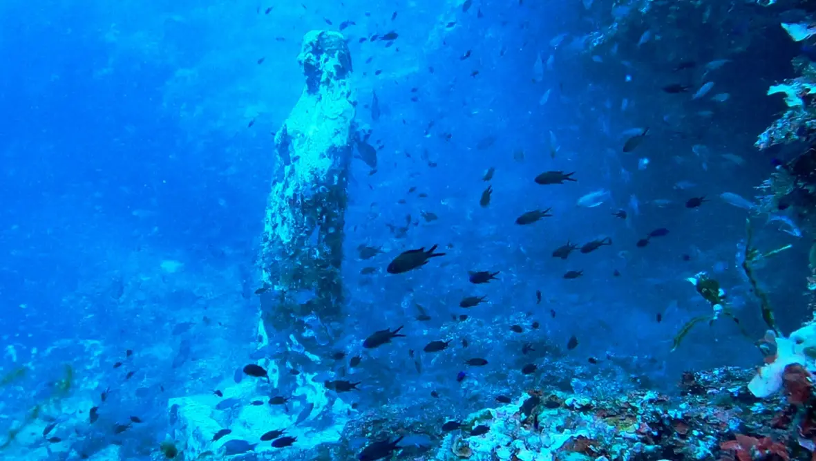Parchi marini della Calabria, boom sui social: oltre 7.200 follower e un’estate da quasi un milione di visualizzazioni\n