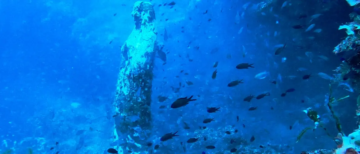 Parchi marini della Calabria, boom sui social: oltre 7.200 follower e un’estate da quasi un milione di visualizzazioni\n