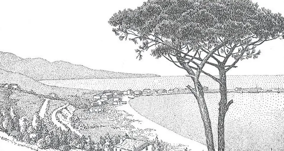 <p>Pizzo e Santa Venere unite in un’unica città: <span style=\"color:hsl(0, 75%, 60%);\">il progetto borbonico del porto</span> (mai realizzato) che avrebbe ridisegnato la costa vibonese</p>