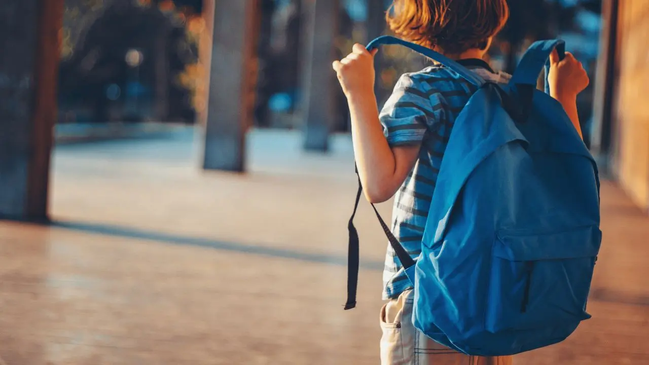<p>Scuole e<span style=\"color:hsl(0, 75%, 60%);\"> rischio sismico</span>: in Calabria meno della metà ha il collaudo statico, solo il 14% ha un progetto antisismico</p>