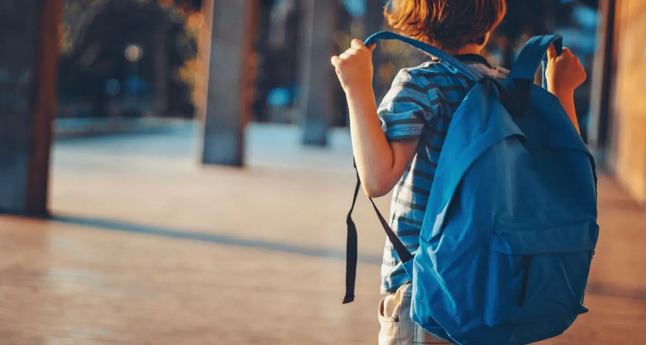 Scuole e rischio sismico: in Calabria meno della metà ha il collaudo statico, solo il 14% ha un progetto antisismico
