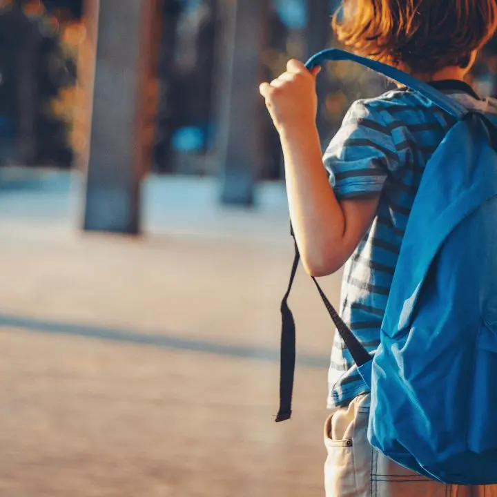 Istituti che chiudono e sicurezza che manca, in Calabria il problema delle scuole non sono gli alunni stranieri\n