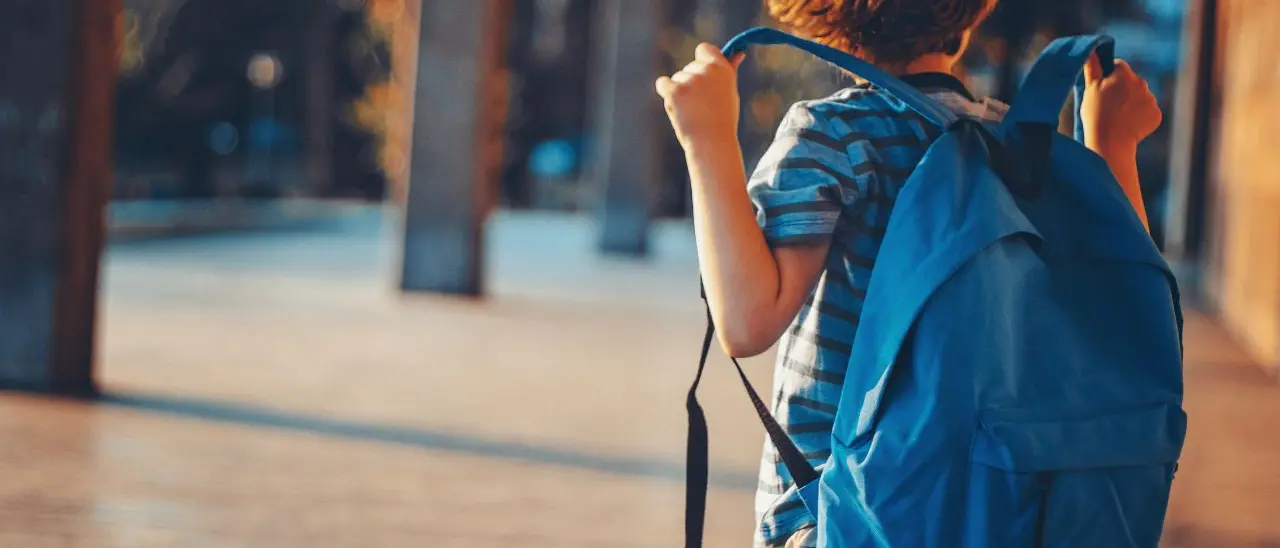 Istituti che chiudono e sicurezza che manca, in Calabria il problema delle scuole non sono gli alunni stranieri\n