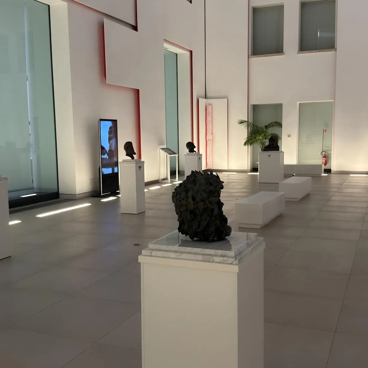 Rara Avis chiude al Museo, a Reggio si conclude una nuova tappa della ricerca artistica di Antonio Affidato\n