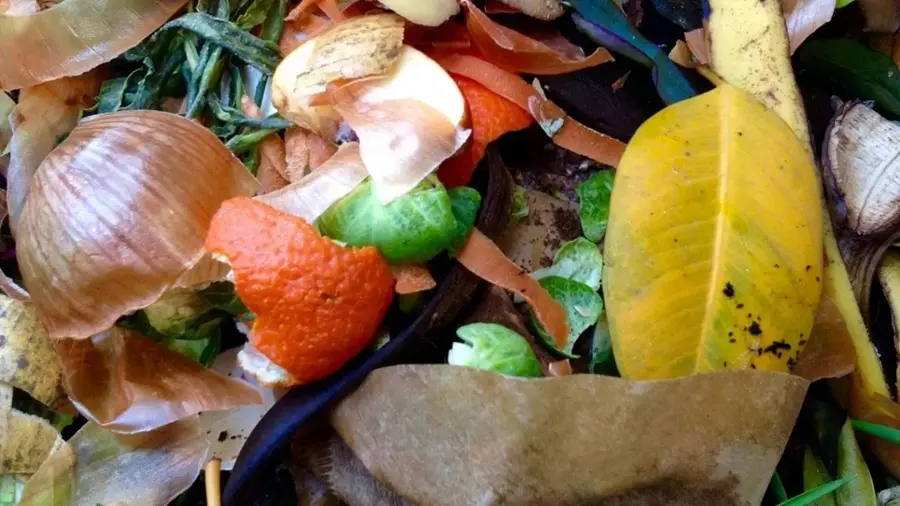 “Fertile rifiuto”: due laboratori a Catanzaro per imparare a trasformare gli scarti in risorse