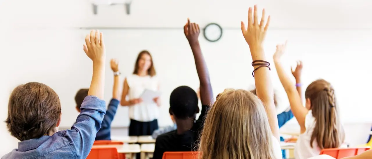 Tetto del 30% di alunni stranieri, nei piccoli Comuni calabresi senza quei bambini le scuole rischiano di chiudere\n