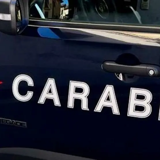 Lamezia, trovato coltello in bagno: i carabinieri sventano ‘vendetta’ di studente contro la prof