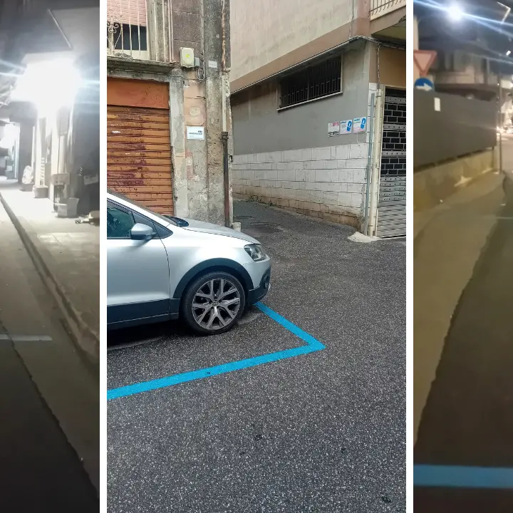 Strisce blu a Vibo, Petracca incalza il Comune: «Dov’è il contratto? Si verifichino canoni, penali e regolarità degli stalli»\n