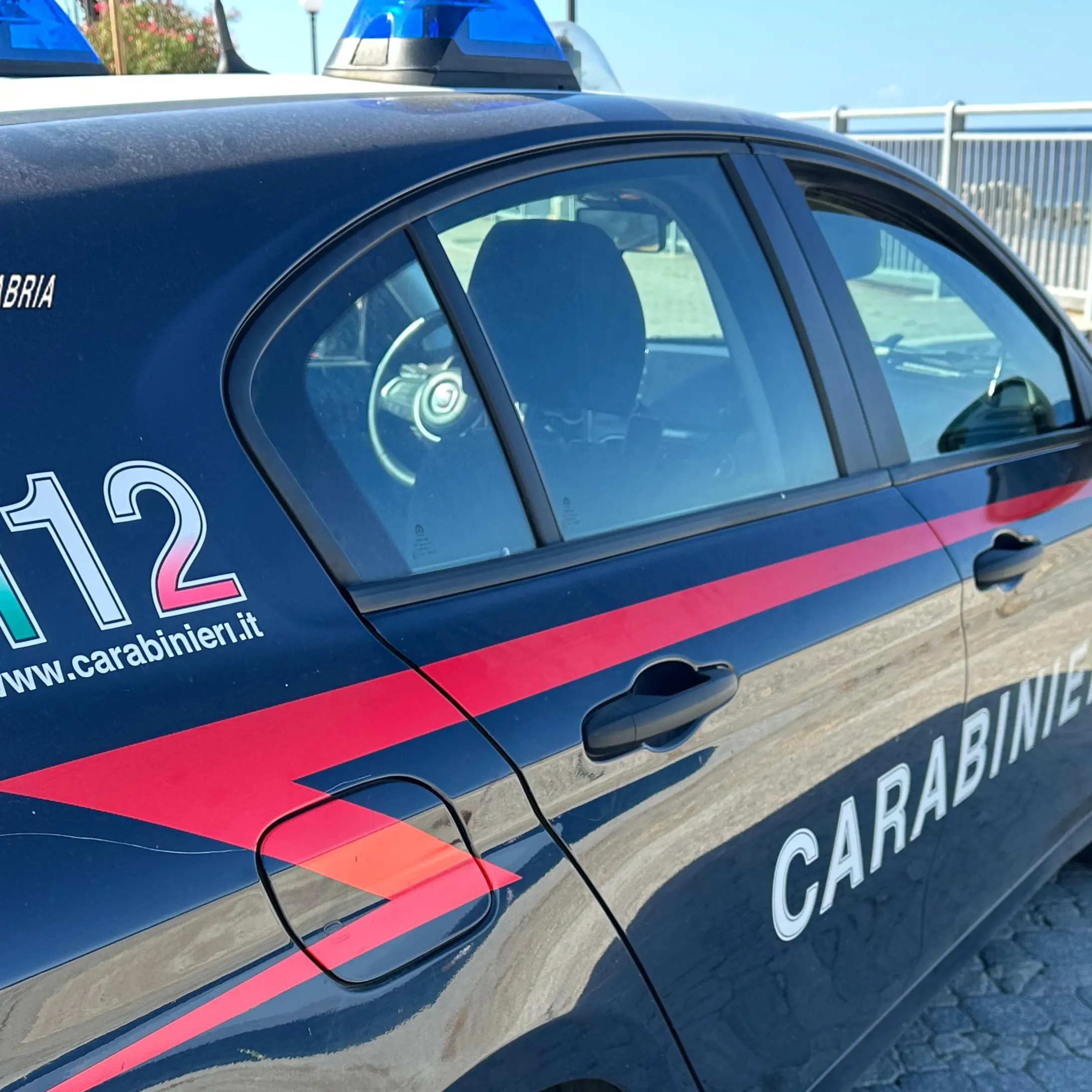 <p>Cosoleto, imprenditore di Vibo nel mirino: incendiati 9 tubi, è la seconda intimidazione in tre mesi</p>