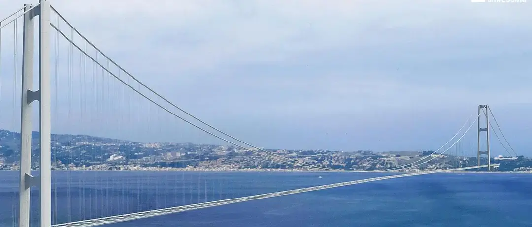 Ponte sullo Stretto, l’allarme di 79 associazioni: «A rischio decine di migliaia di uccelli migratori»\n