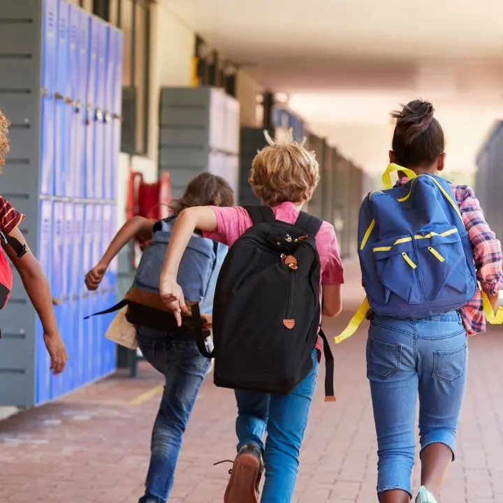 A San Basile la scuola resiste grazie agli stranieri, parla una consigliera comunale:\u00A0«Integrazione alternativa allo spopolamento»\n