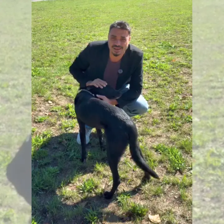 Da randagi a cani di quartiere,\u00A0Serra San Bruno avvia una campagna di sterilizzazione in collaborazione con l’Asp di Vibo\n