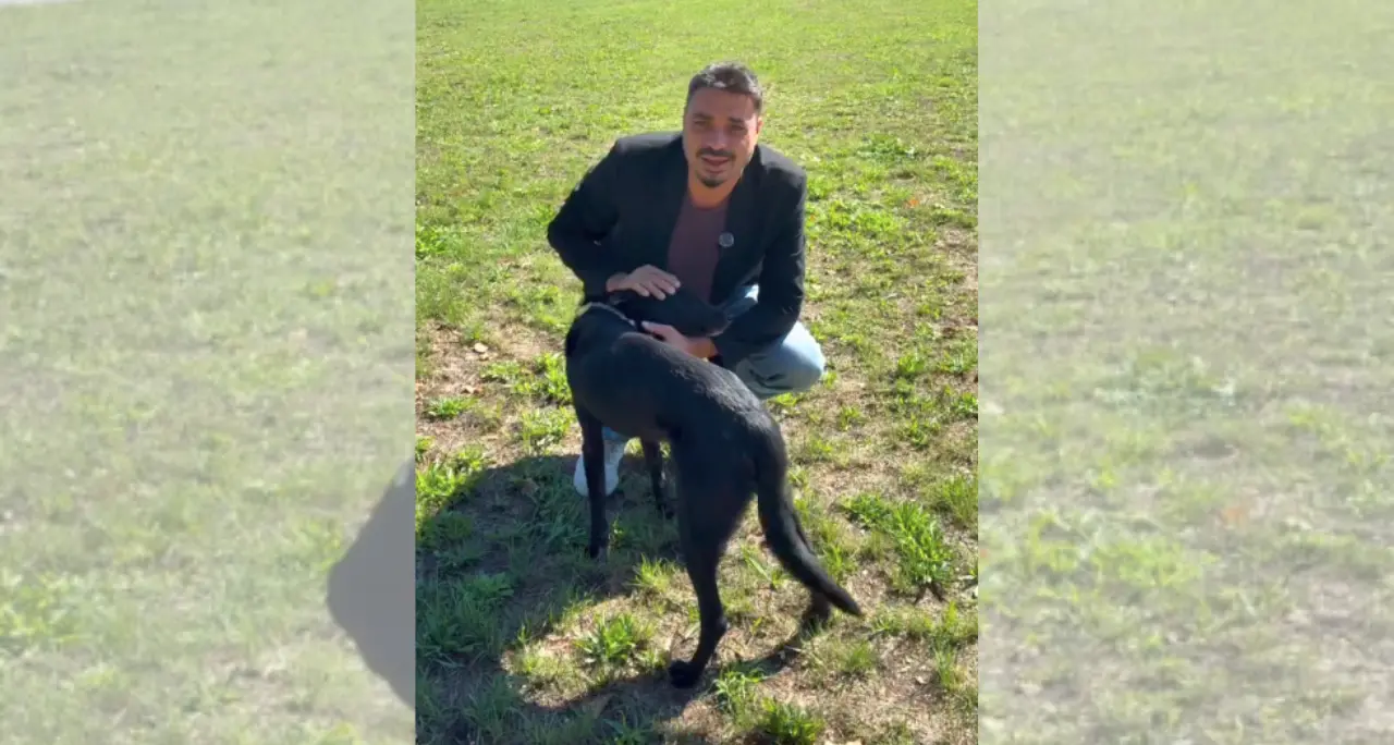 Da randagi a cani di quartiere,\u00A0Serra San Bruno avvia una campagna di sterilizzazione in collaborazione con l’Asp di Vibo\n