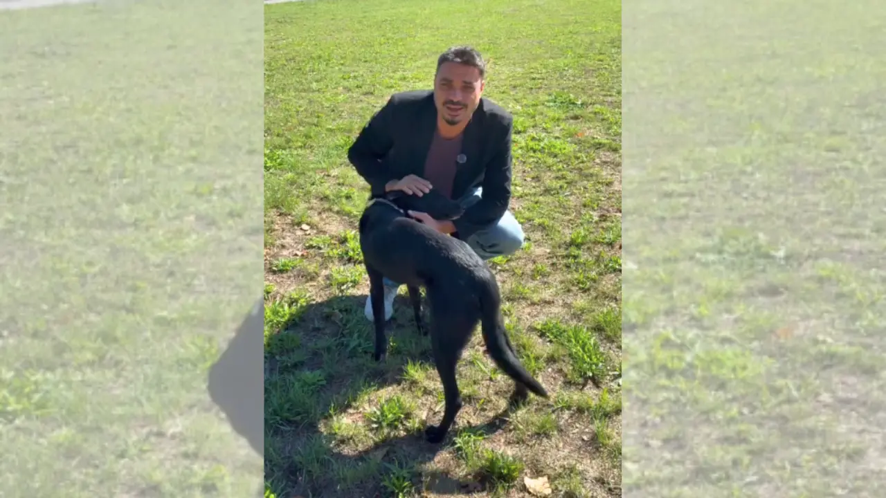 Da randagi a cani di quartiere,\u00A0Serra San Bruno avvia una campagna di sterilizzazione in collaborazione con l’Asp di Vibo\n