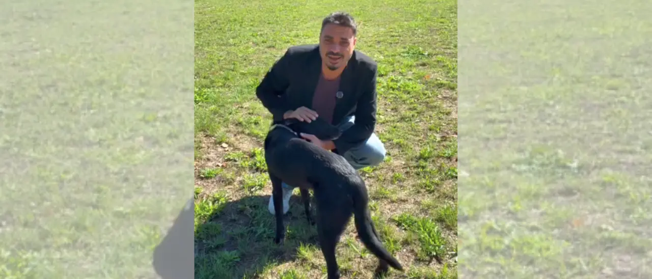 Da randagi a cani di quartiere,\u00A0Serra San Bruno avvia una campagna di sterilizzazione in collaborazione con l’Asp di Vibo\n
