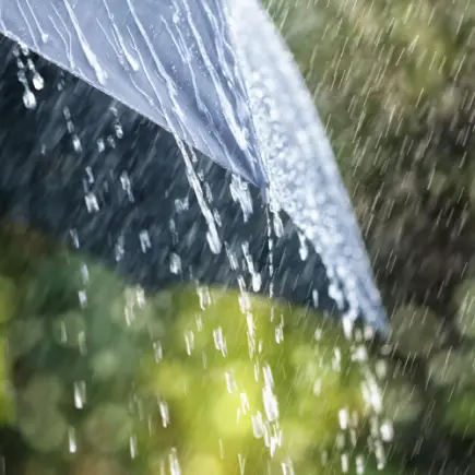 Meteo, allerta gialla domani nel cosentino con pioggia e temperature al di sotto della media stagionale\n